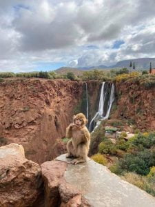 Marrakech To The Waterfalls Of Ouzoud