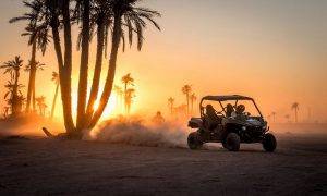 Paseo En Buggy En Marrakech