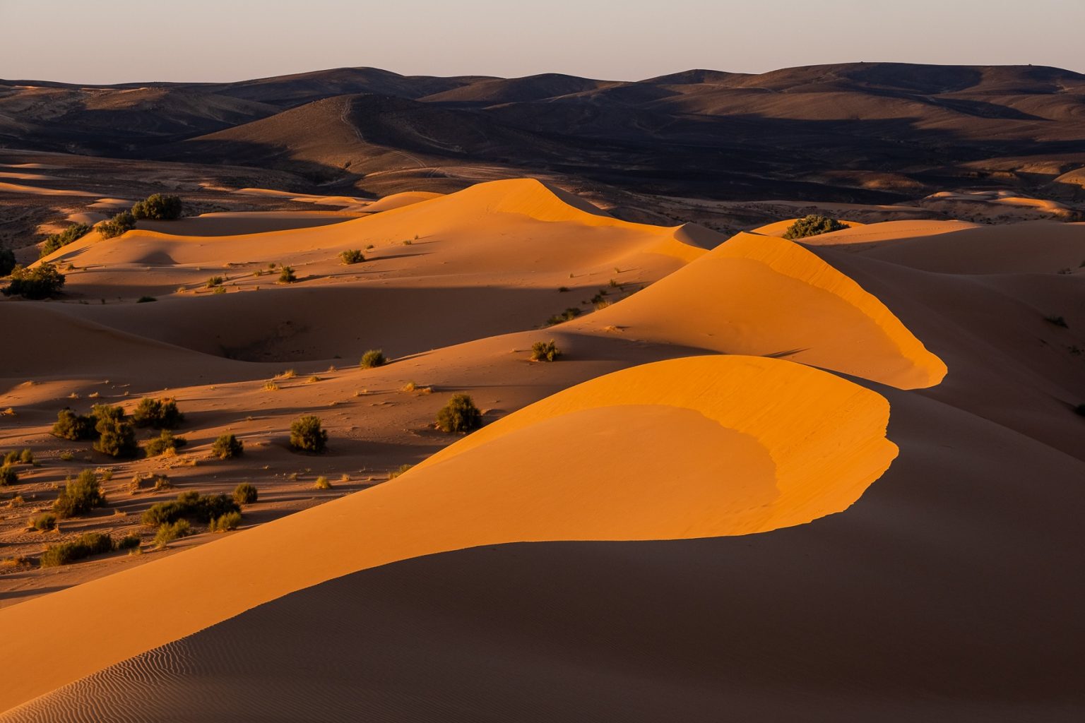 Dunes De Merzouga©gregoryrohart 26