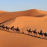 Desert Excursion