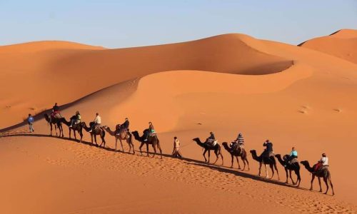 Desert Excursion