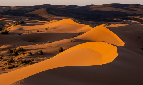 dunes-de-merz-26-1536x1024