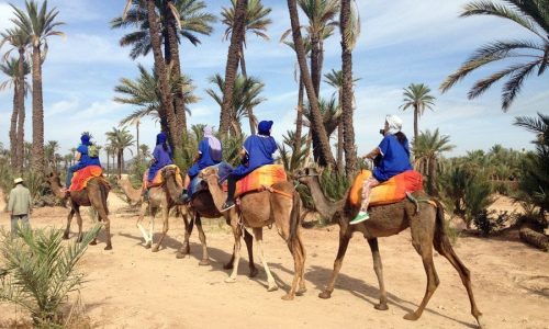 Camel Ride
