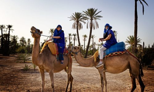 Camel Ride