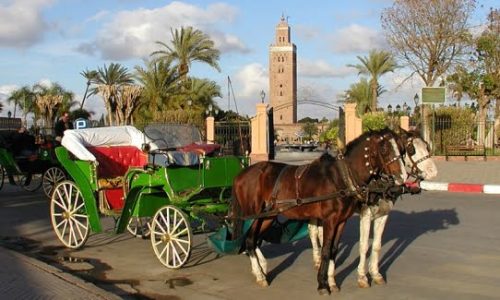 Carriage Ride
