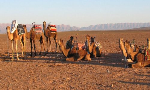 marrakechfirstexcursion.com-Luxury-Desert-Tours-1-1