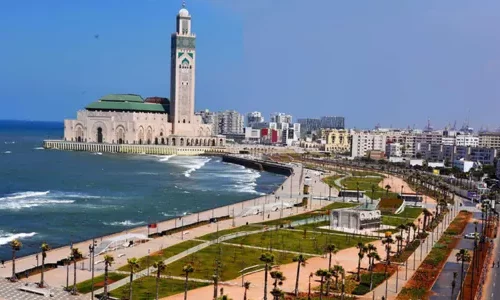 ottes d'hercule (23)